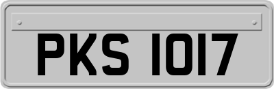 PKS1017