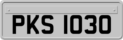 PKS1030