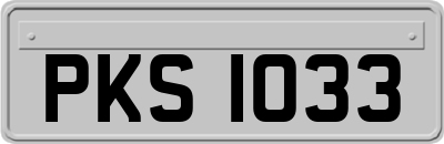 PKS1033