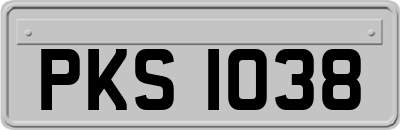 PKS1038