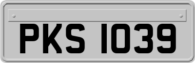 PKS1039