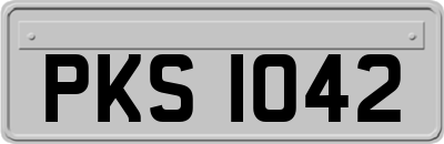 PKS1042