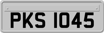 PKS1045