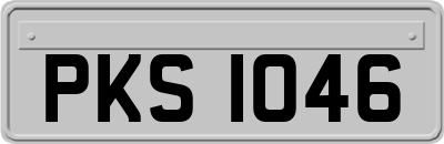 PKS1046
