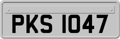 PKS1047