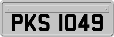 PKS1049