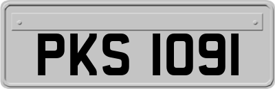 PKS1091
