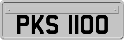 PKS1100
