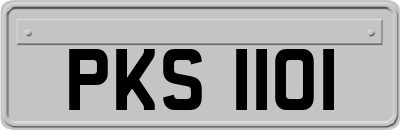 PKS1101