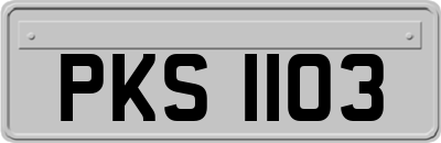PKS1103
