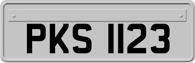 PKS1123