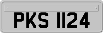 PKS1124