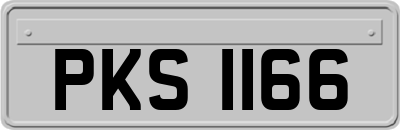 PKS1166