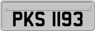 PKS1193