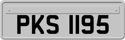 PKS1195