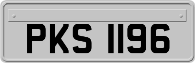 PKS1196