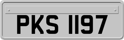 PKS1197