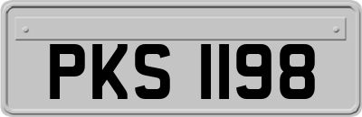 PKS1198