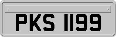 PKS1199