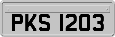 PKS1203