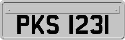 PKS1231