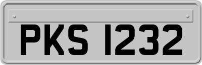 PKS1232