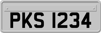 PKS1234