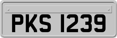 PKS1239