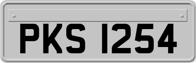 PKS1254