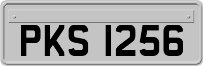 PKS1256