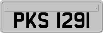 PKS1291