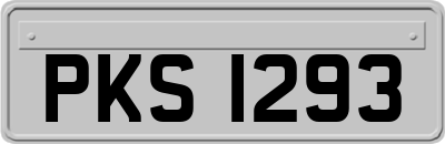PKS1293