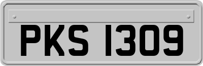 PKS1309