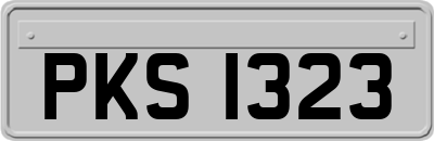PKS1323