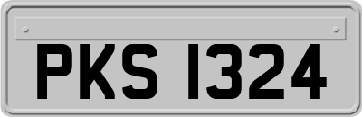 PKS1324
