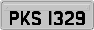 PKS1329