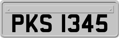 PKS1345