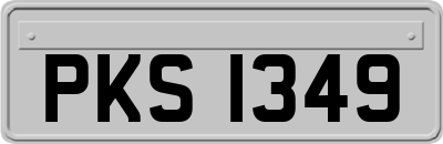 PKS1349