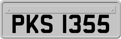 PKS1355