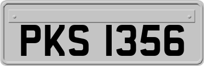 PKS1356