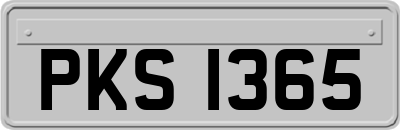 PKS1365