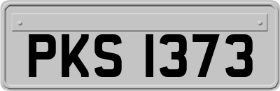 PKS1373