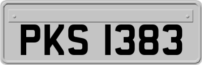 PKS1383