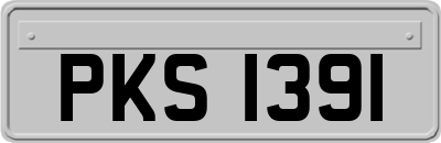 PKS1391