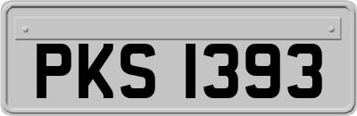PKS1393