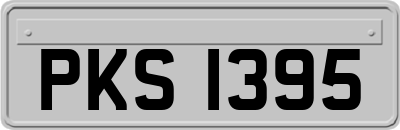 PKS1395
