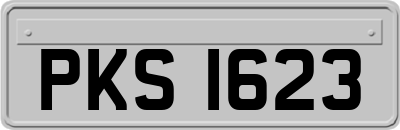 PKS1623