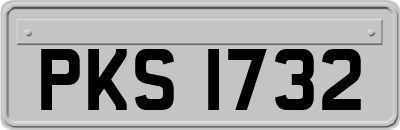 PKS1732