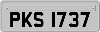 PKS1737