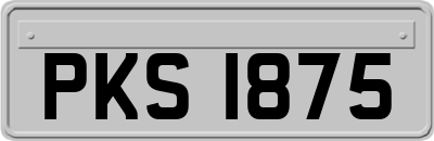 PKS1875
